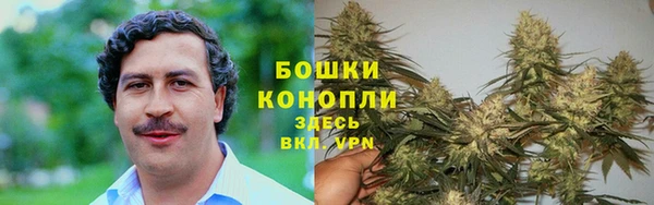 твердый Богданович