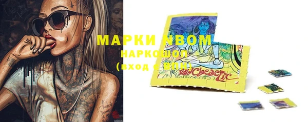 твердый Богданович