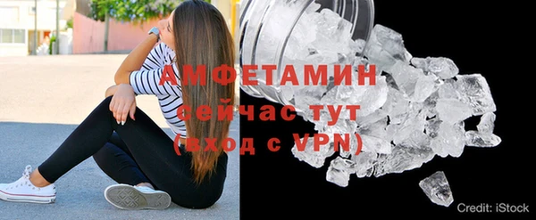 твердый Богданович