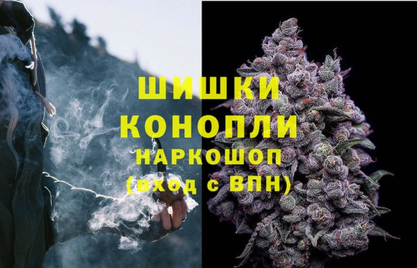 спиды Богородицк