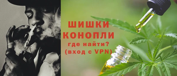 твердый Богданович