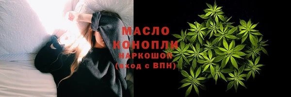 спиды Богородицк