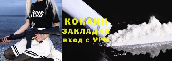 спиды Богородицк