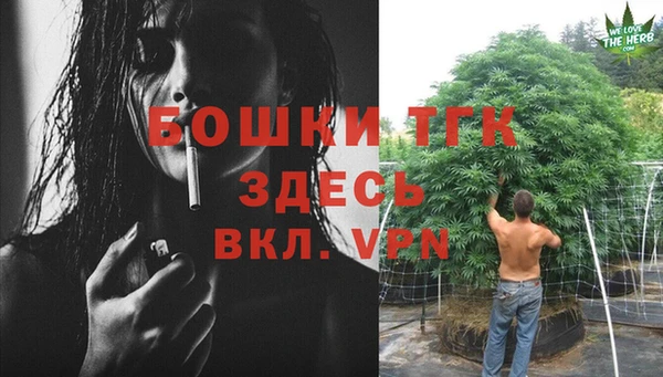 спиды Богородицк