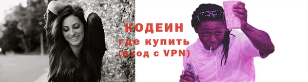 спиды Богородицк