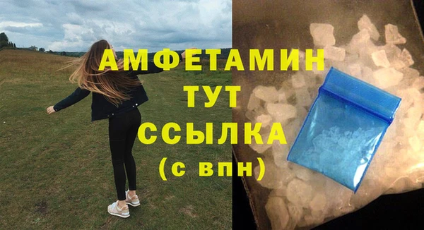 твердый Богданович