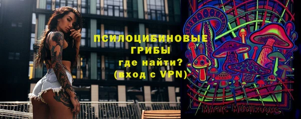 твердый Богданович