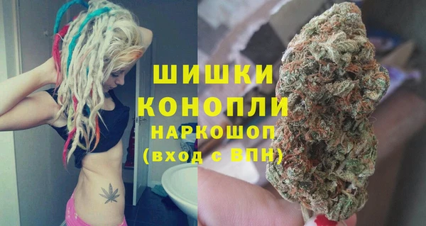 спиды Богородицк