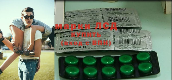 спиды Богородицк