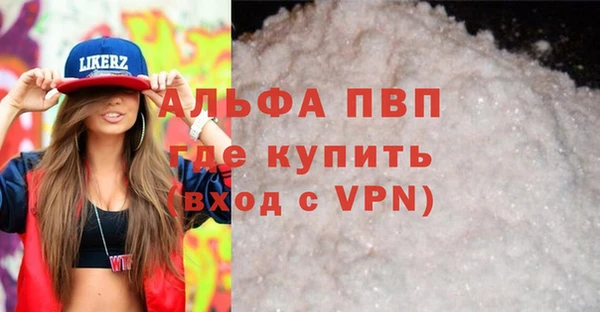 твердый Богданович